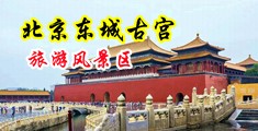肏淫穴中国北京-东城古宫旅游风景区